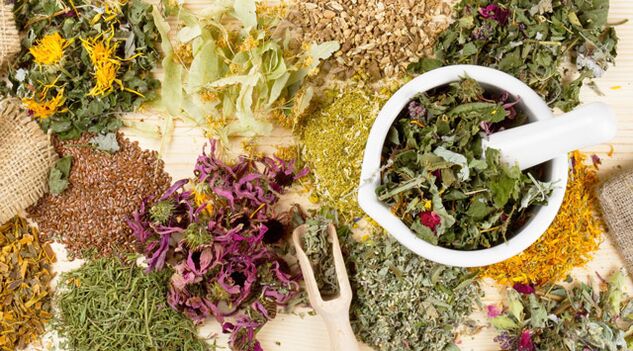 Plantas medicinais que axudan na loita contra a diabetes